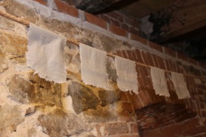 IMG_8323