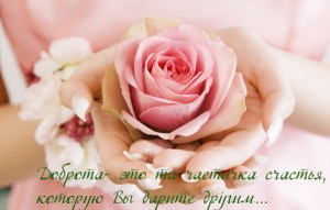 images_2654